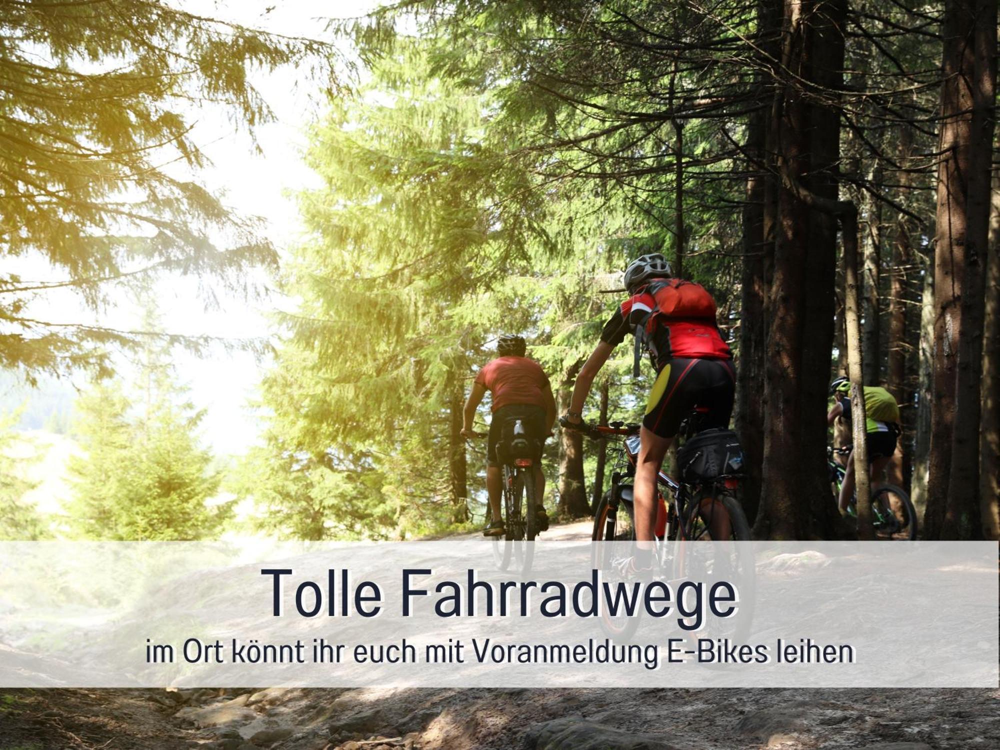Natur-Chalet Zum Nationalpark Marie-Luise Inkl E-Auto Allenbach Eksteriør billede