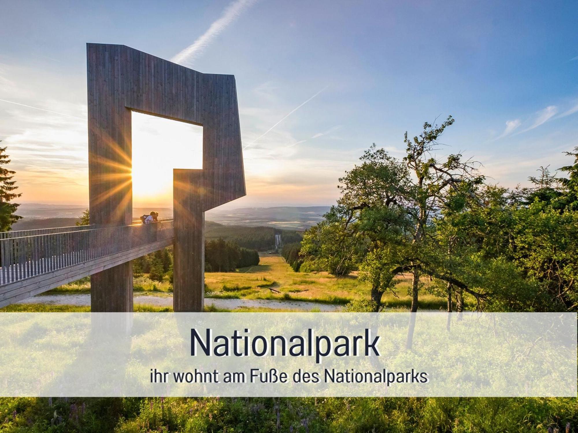 Natur-Chalet Zum Nationalpark Marie-Luise Inkl E-Auto Allenbach Eksteriør billede